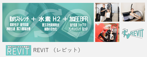 REVIT （レビット）